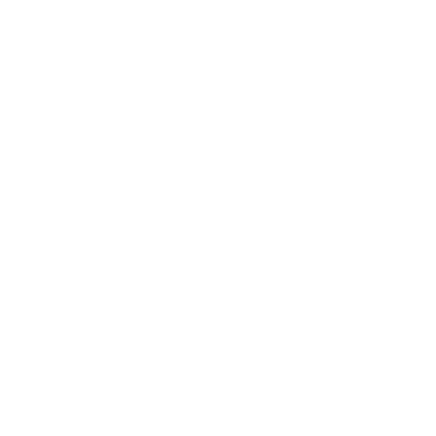 Safe and Secure Icon